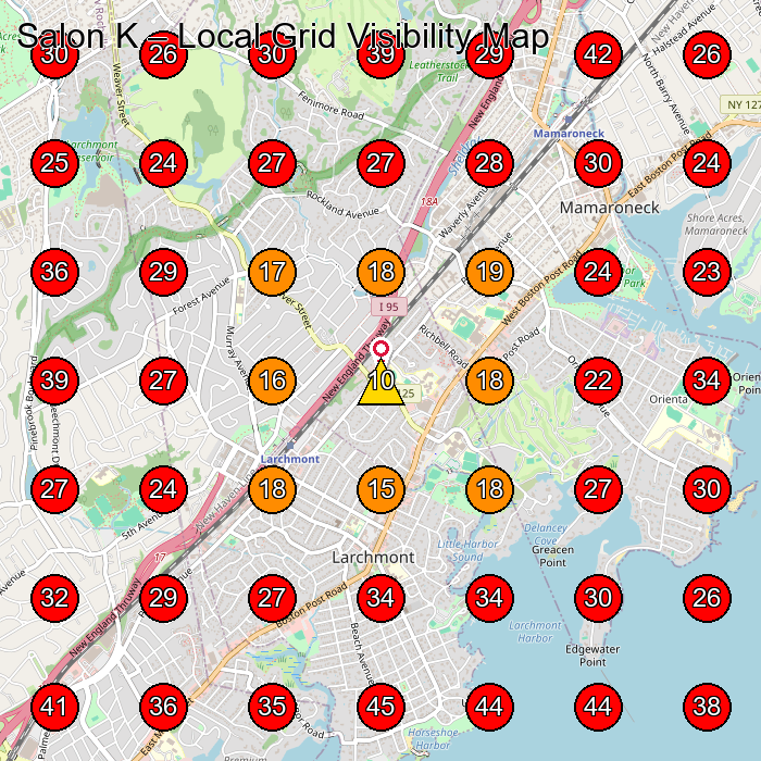 Salon K GeoGrid visibility map for Eyelash Salon in Larchmont